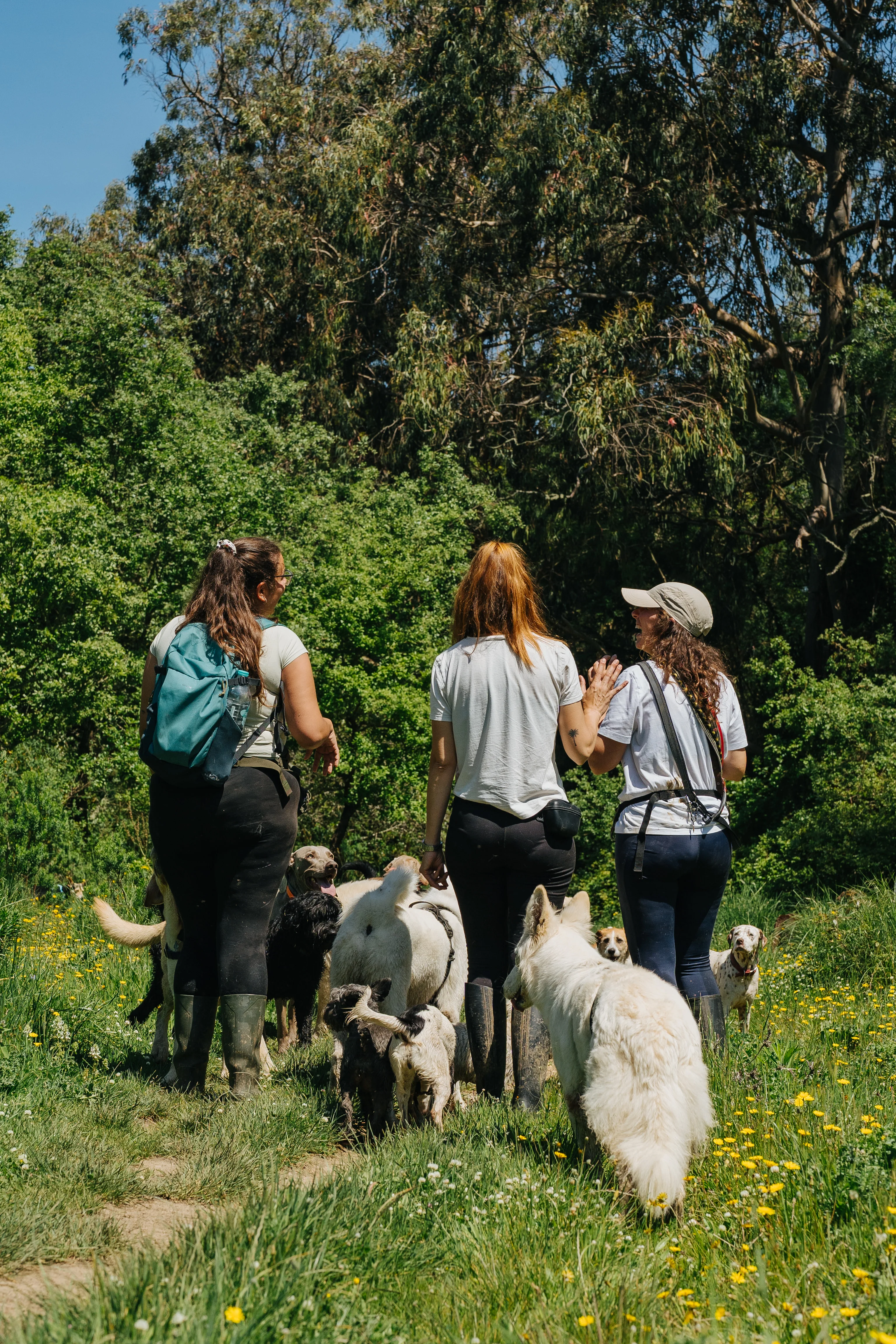 Passeios na Natureza
