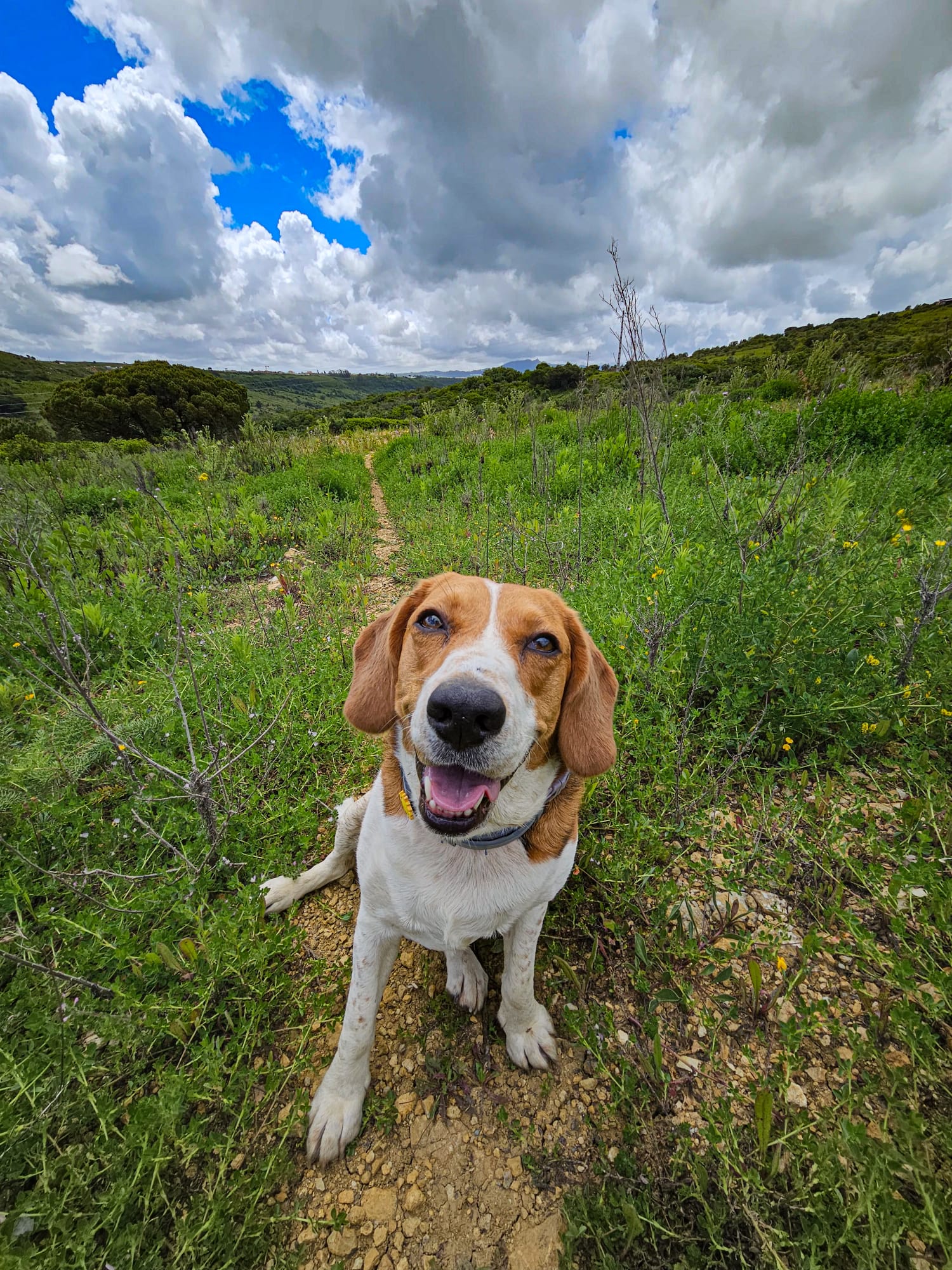 Passeios Individuais
