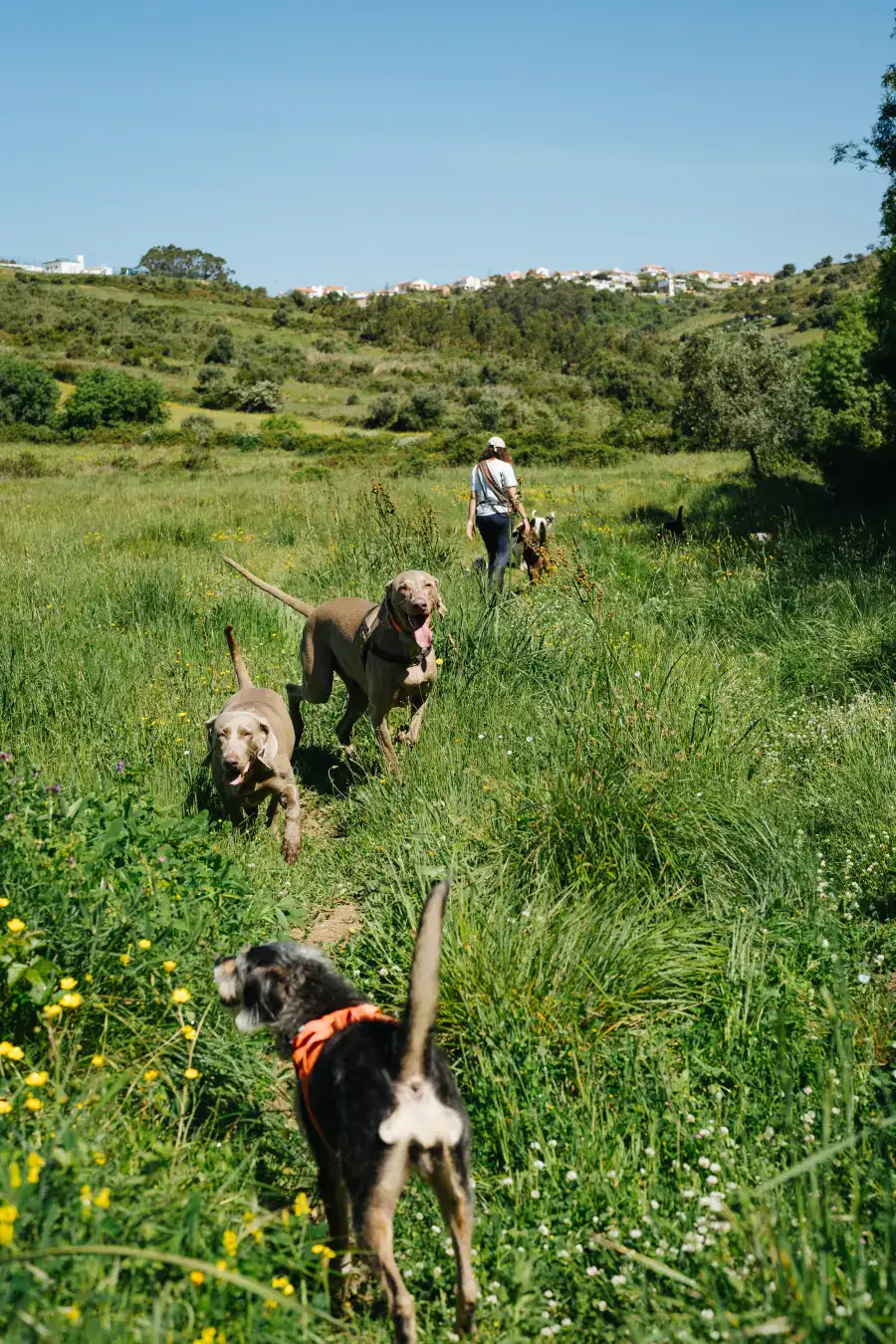 Passeios na Natureza